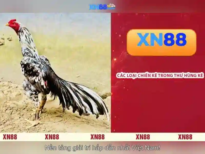 XN88 — Nền tảng trực tuyến và hành trình công nghệ