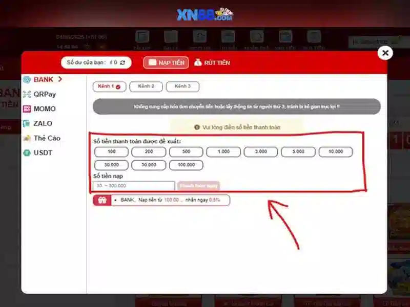 Lịch sử và nguồn gốc của xn88\n