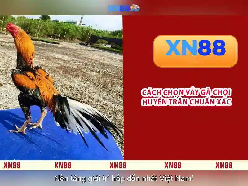 xn88 - Tổng quan và những điểm nổi bật