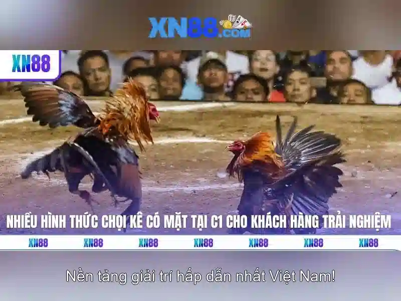 xn88: Tổng quan và nhận định