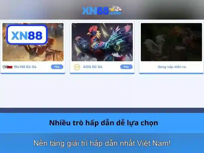 xn88 là gì