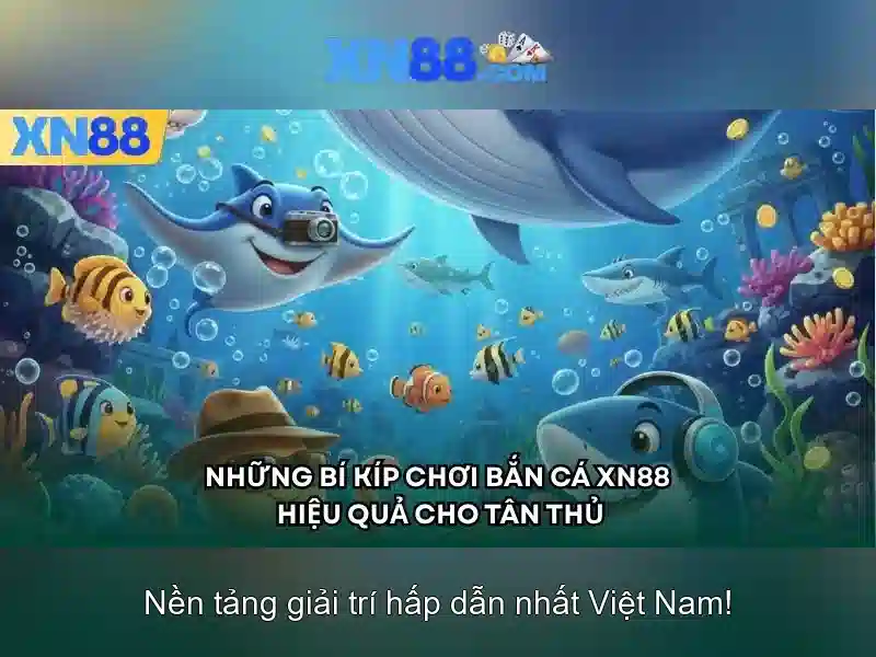 Xn88: Tổng quan về nền tảng cá cược trực tuyến