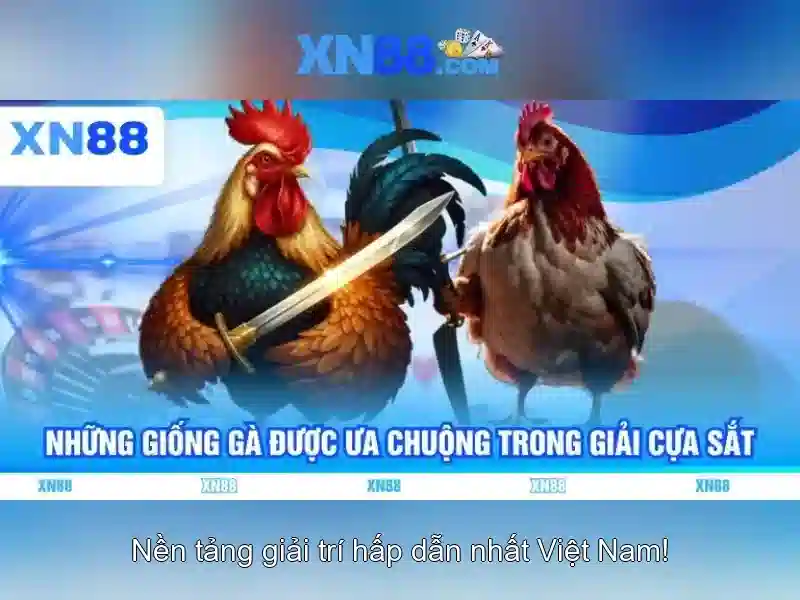 An toàn và trách nhiệm khi tham gia\n