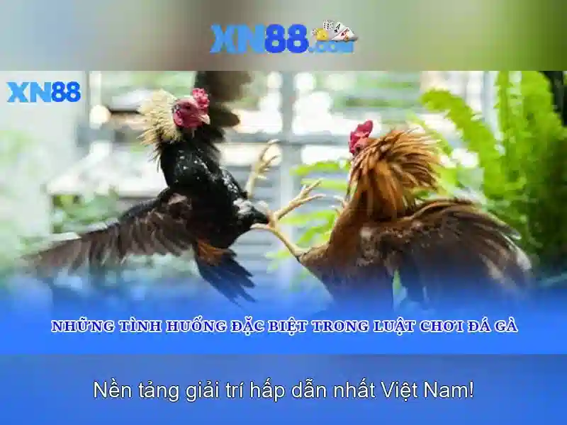 XN88: Nền tảng trò chơi trực tuyến và cược