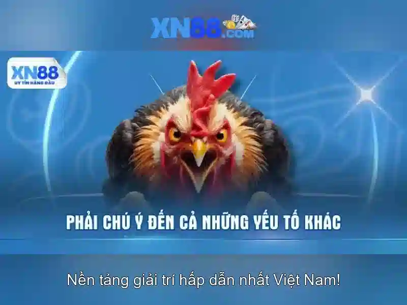 Tổng quan về xn88 – Nền tảng cược trực tuyến