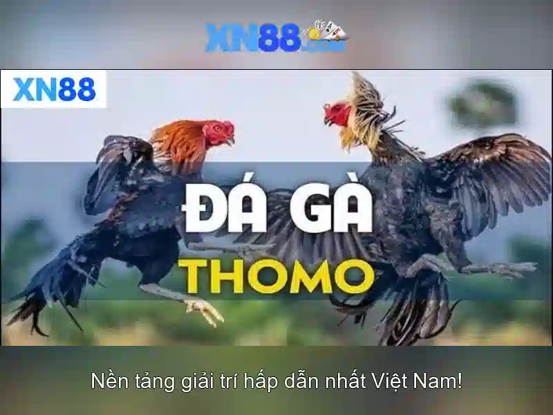 Giới thiệu về xn88