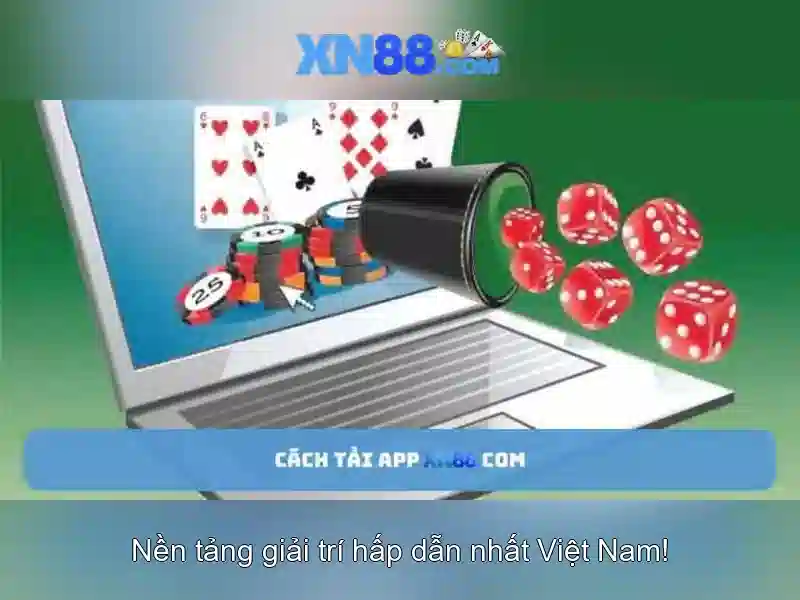 Ảnh hưởng và rủi ro