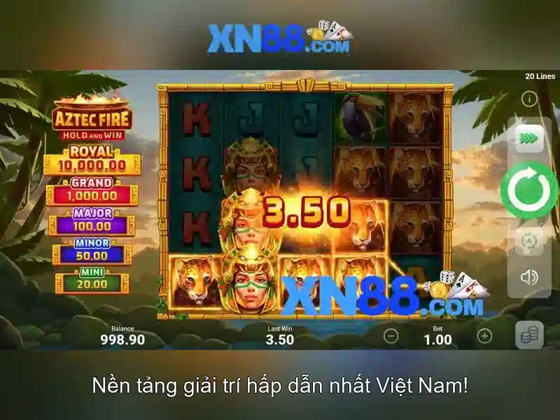 Đảm bảo an toàn và trách nhiệm khi tham gia