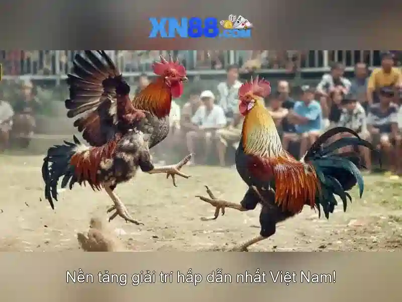 xn88: Đánh giá, hướng dẫn và trải nghiệm người chơi