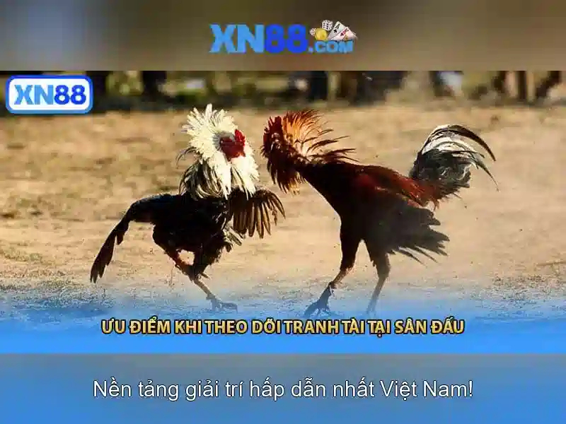 xn88., Định hình chuẩn mực giải trí trực tuyến xn88 bet
