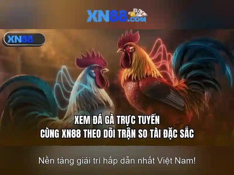 Giới thiệu về xn88