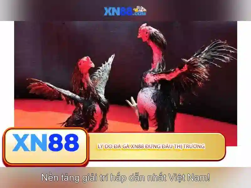 Xn88: một cái nhìn tổng quan về nền tảng trực tuyến