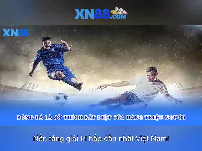 Kết luận về XN88