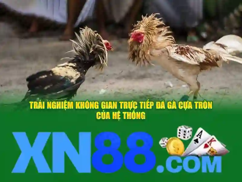Lịch sử và nguồn gốc của xn88