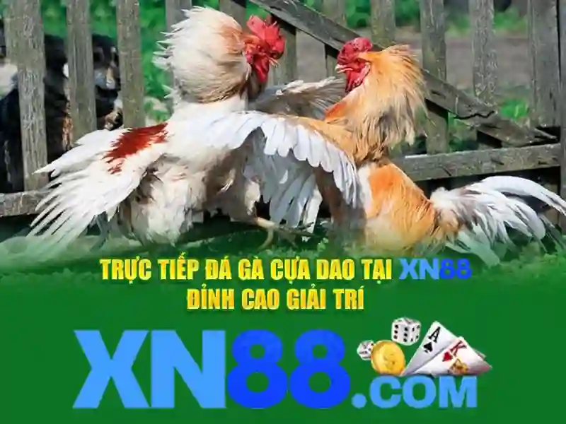 xn88 apk: Trải nghiệm đỉnh cao cùng xn88 jpn.com và xn88 vip